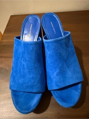 Mansur Gavriel Cobalt Blue Suede Slide Mules